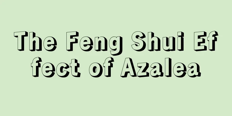 The Feng Shui Effect of Azalea