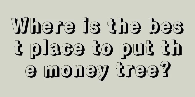 Where is the best place to put the money tree?