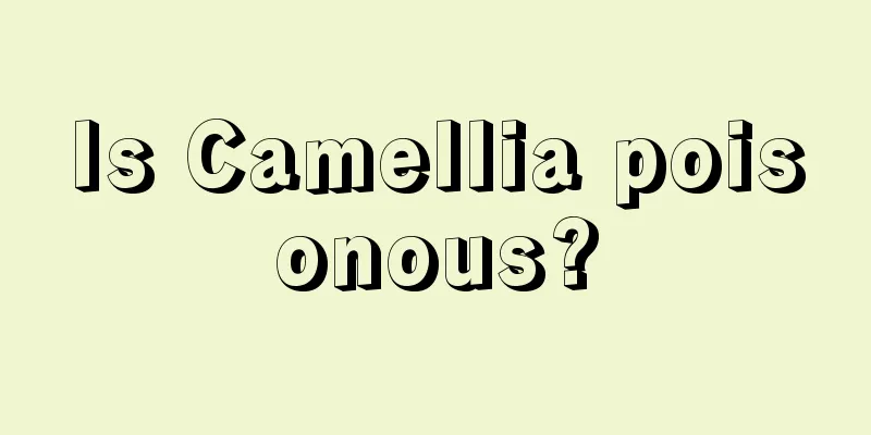 Is Camellia poisonous?