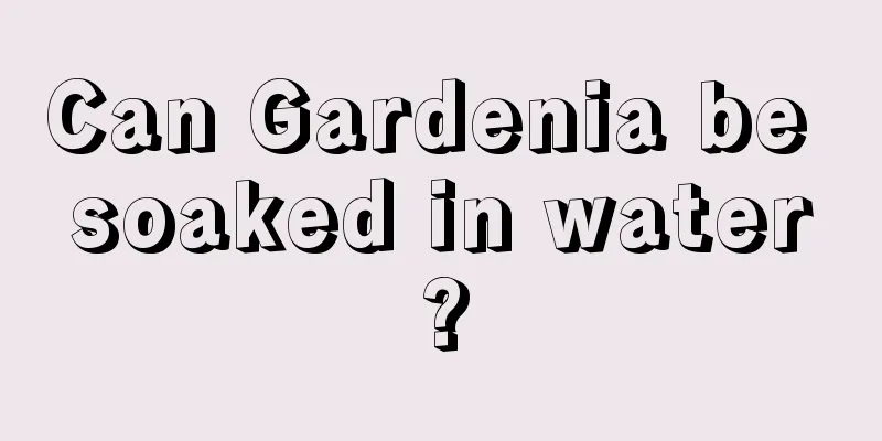 Can Gardenia be soaked in water?