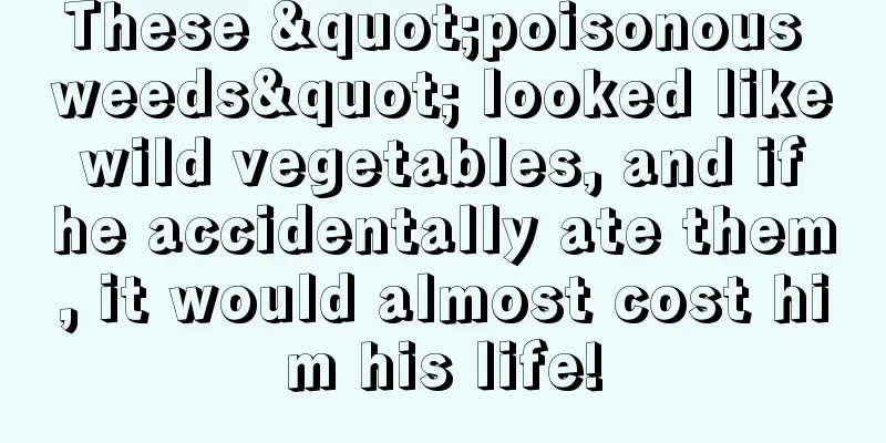 These "poisonous weeds" looked like wild vegetables, and if he accidentally ate them, it would almost cost him his life!