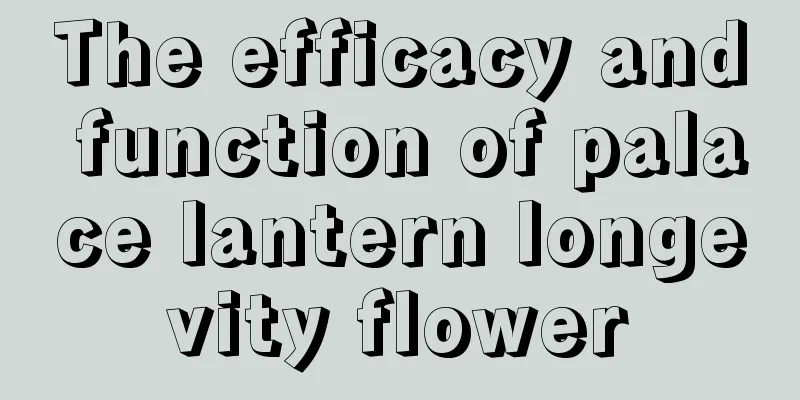 The efficacy and function of palace lantern longevity flower