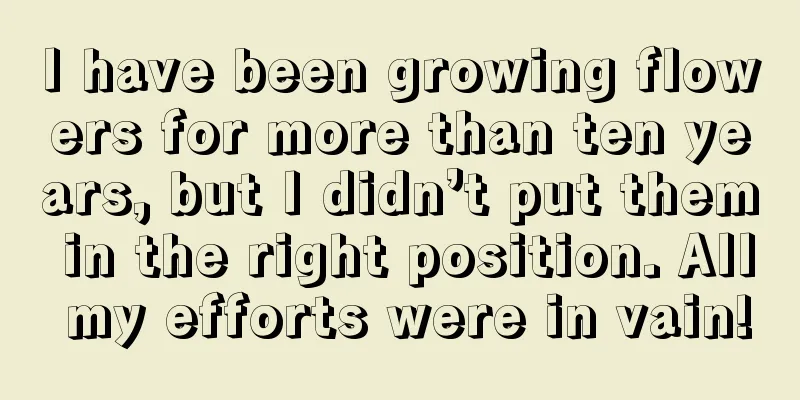 I have been growing flowers for more than ten years, but I didn’t put them in the right position. All my efforts were in vain!