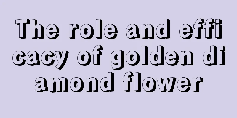 The role and efficacy of golden diamond flower