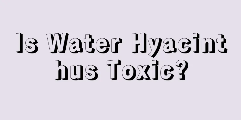 Is Water Hyacinthus Toxic?