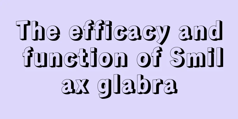 The efficacy and function of Smilax glabra