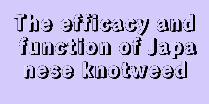 The efficacy and function of Japanese knotweed