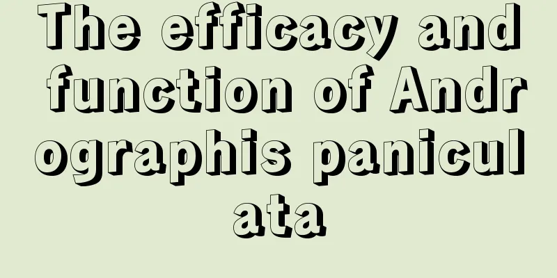 The efficacy and function of Andrographis paniculata