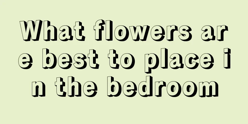 What flowers are best to place in the bedroom