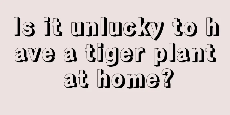 Is it unlucky to have a tiger plant at home?