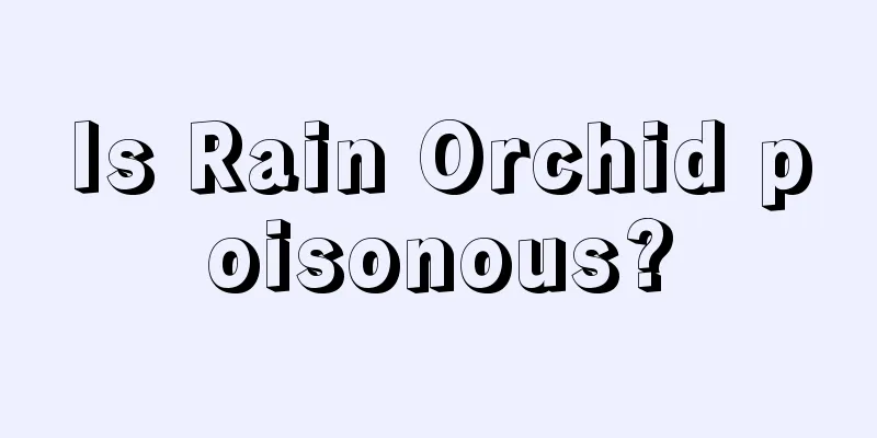 Is Rain Orchid poisonous?