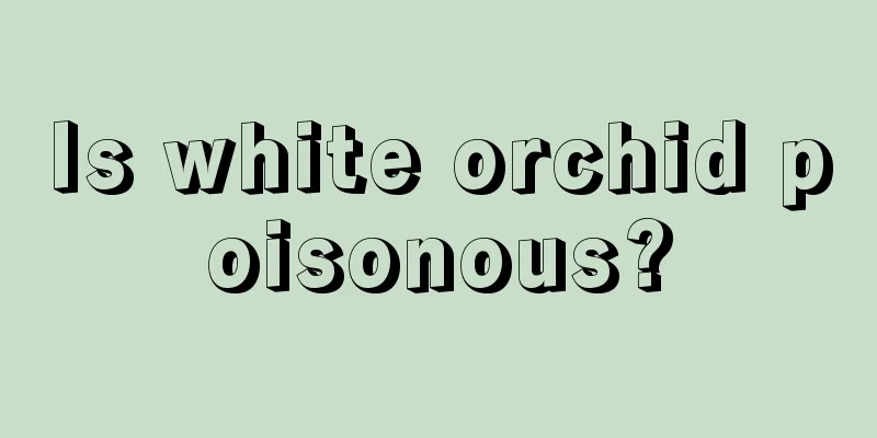 Is white orchid poisonous?