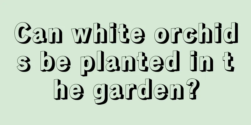 Can white orchids be planted in the garden?