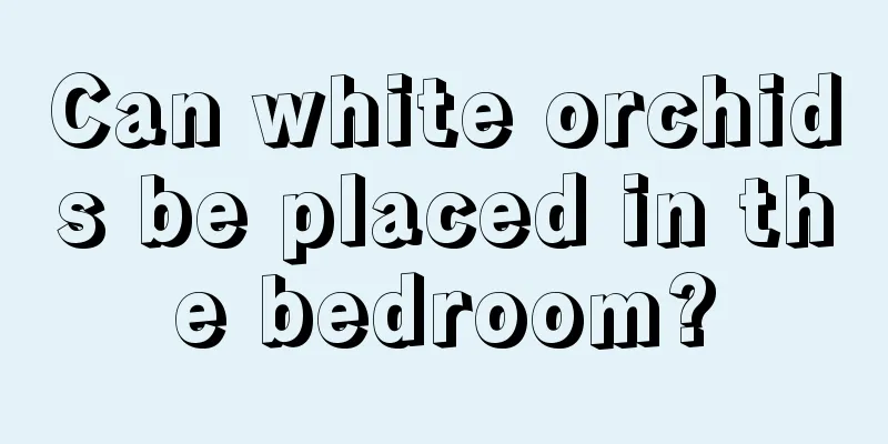 Can white orchids be placed in the bedroom?