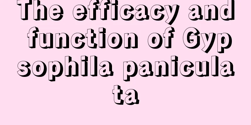 The efficacy and function of Gypsophila paniculata