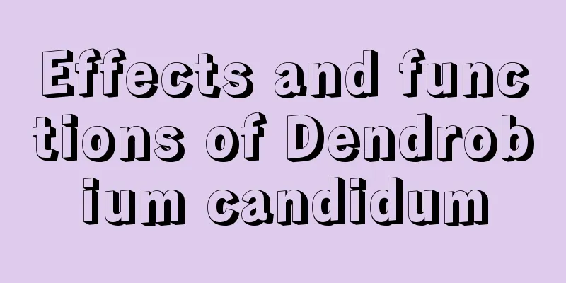 Effects and functions of Dendrobium candidum