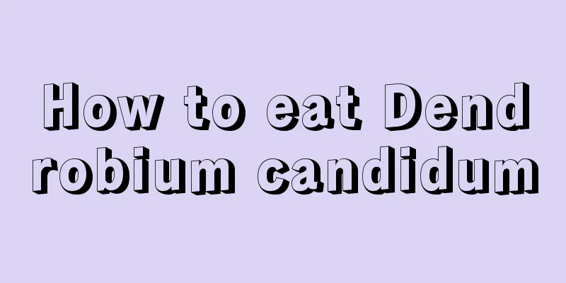 How to eat Dendrobium candidum