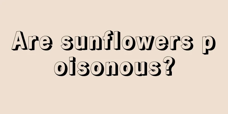 Are sunflowers poisonous?