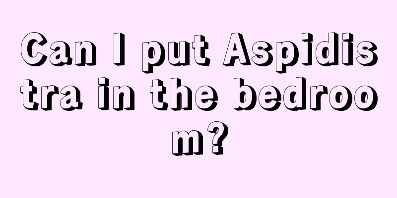 Can I put Aspidistra in the bedroom?