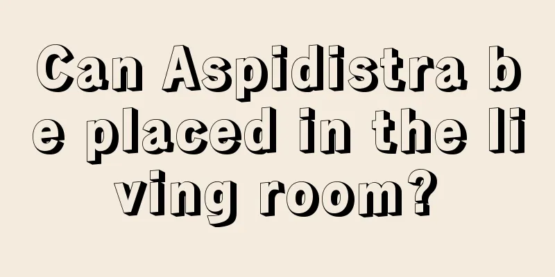 Can Aspidistra be placed in the living room?