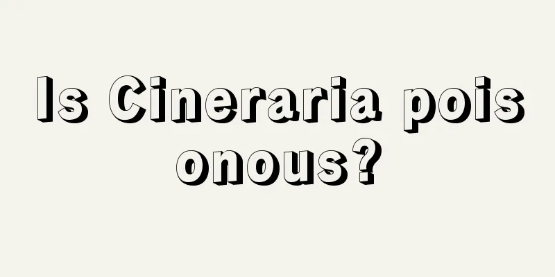 Is Cineraria poisonous?