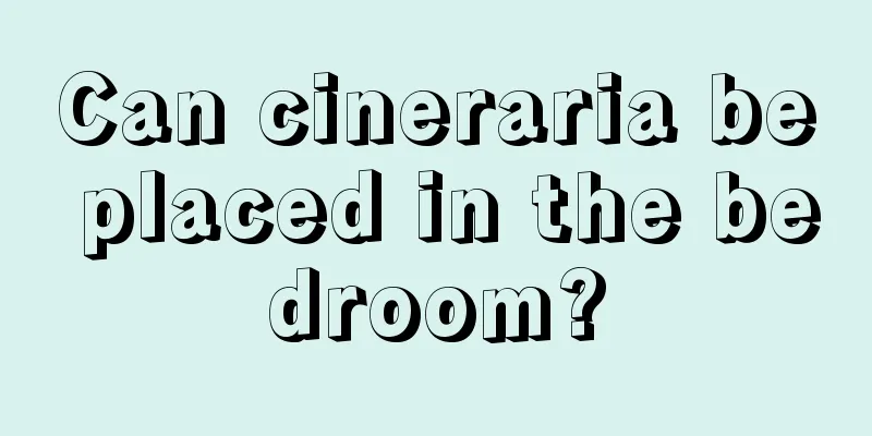 Can cineraria be placed in the bedroom?