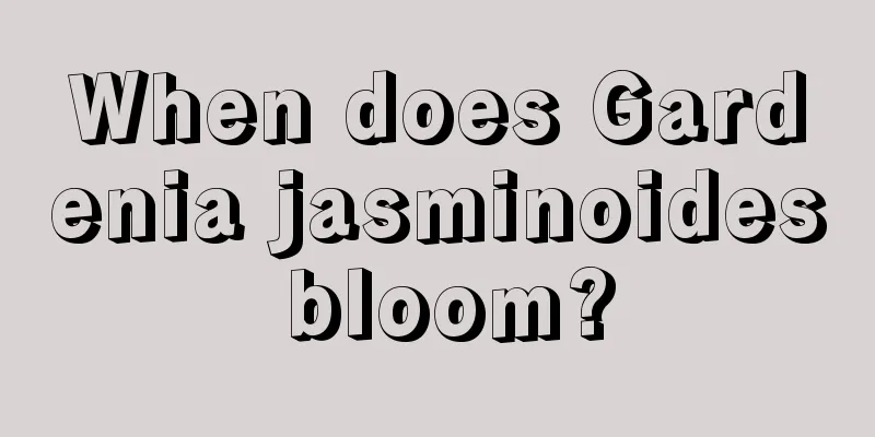 When does Gardenia jasminoides bloom?