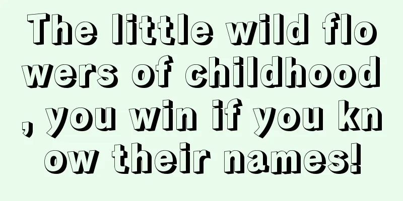 The little wild flowers of childhood, you win if you know their names!