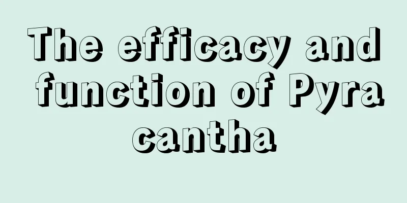 The efficacy and function of Pyracantha