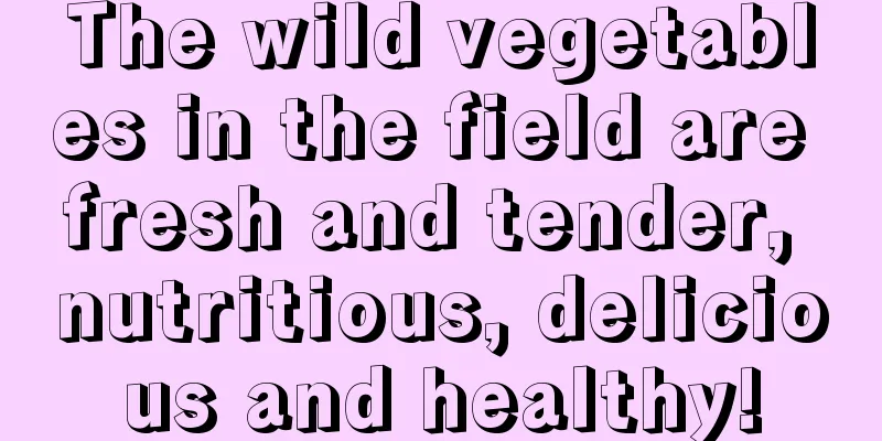 The wild vegetables in the field are fresh and tender, nutritious, delicious and healthy!