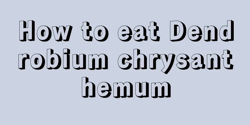 How to eat Dendrobium chrysanthemum