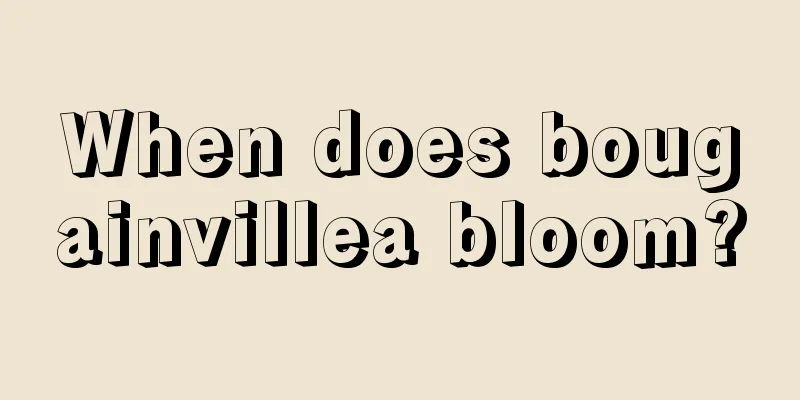 When does bougainvillea bloom?