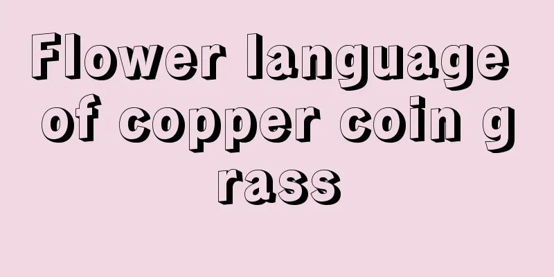 Flower language of copper coin grass