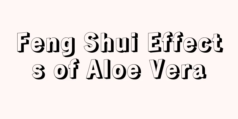 Feng Shui Effects of Aloe Vera