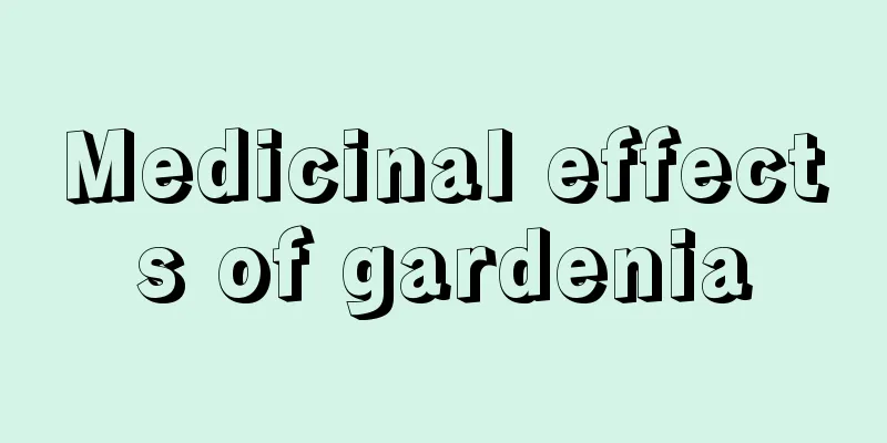 Medicinal effects of gardenia