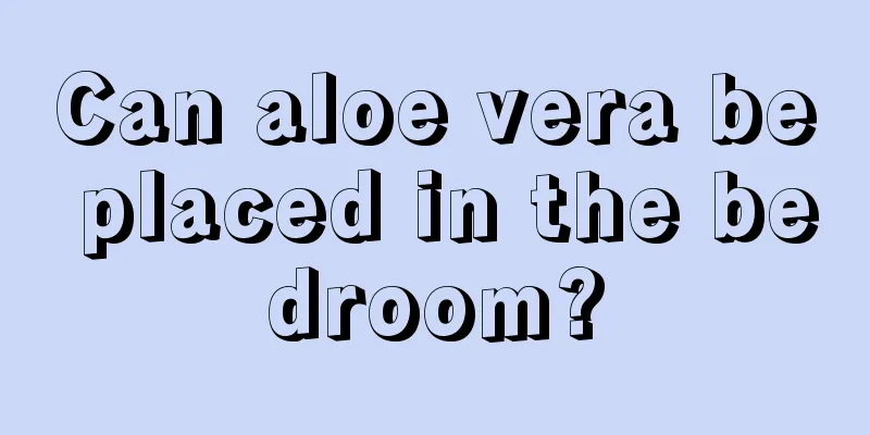 Can aloe vera be placed in the bedroom?