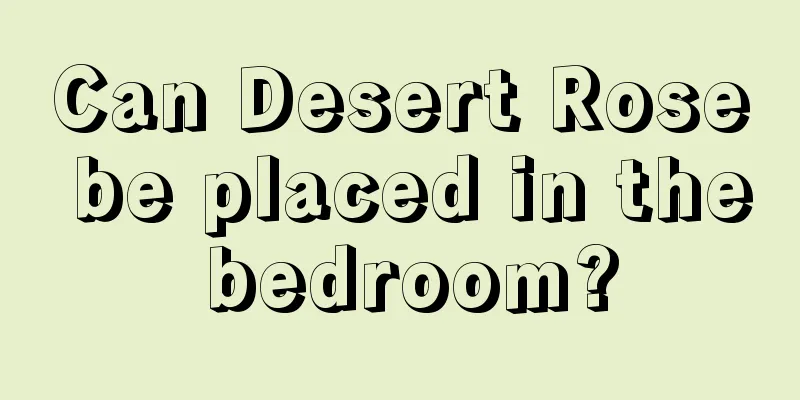 Can Desert Rose be placed in the bedroom?