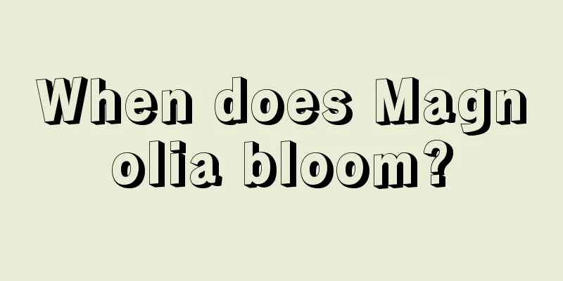 When does Magnolia bloom?