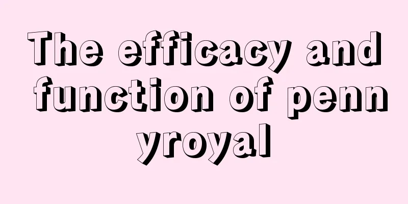 The efficacy and function of pennyroyal