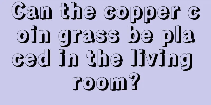 Can the copper coin grass be placed in the living room?