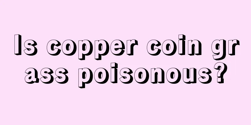 Is copper coin grass poisonous?