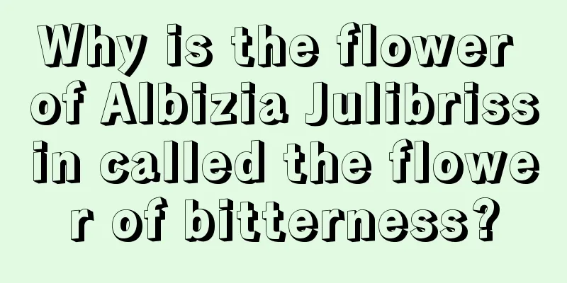 Why is the flower of Albizia Julibrissin called the flower of bitterness?