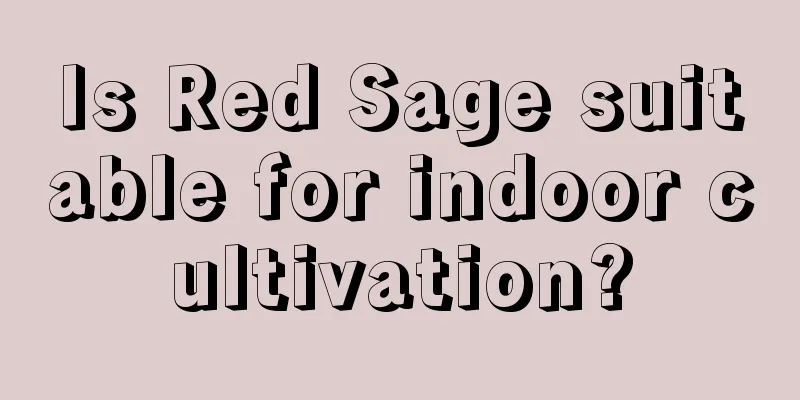 Is Red Sage suitable for indoor cultivation?