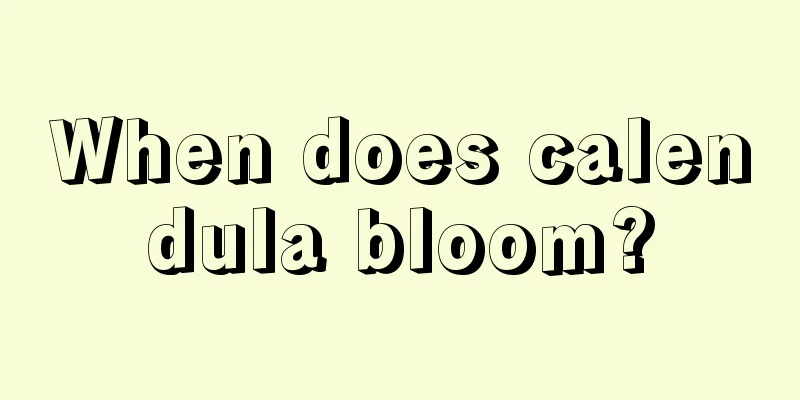 When does calendula bloom?