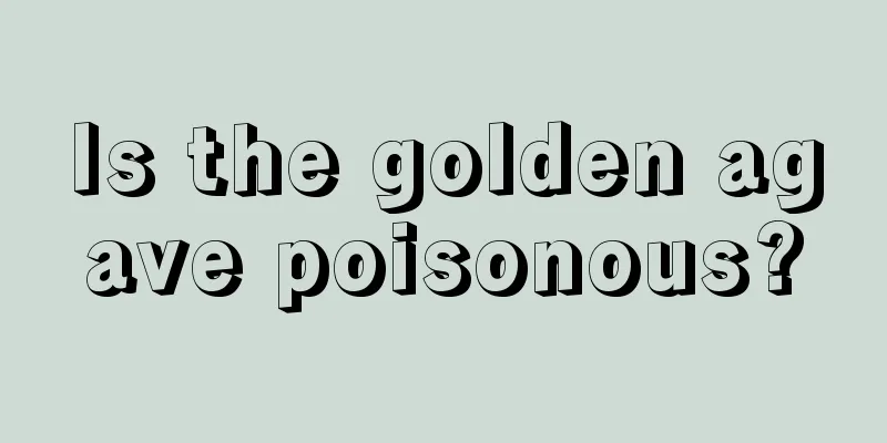 Is the golden agave poisonous?