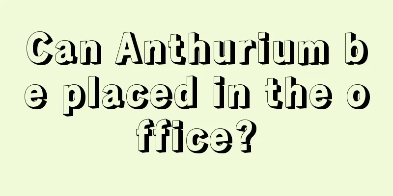 Can Anthurium be placed in the office?