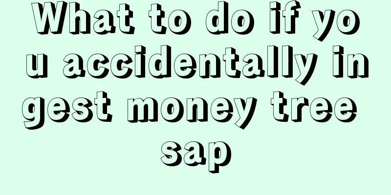 What to do if you accidentally ingest money tree sap