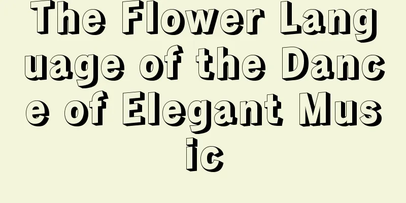 The Flower Language of the Dance of Elegant Music