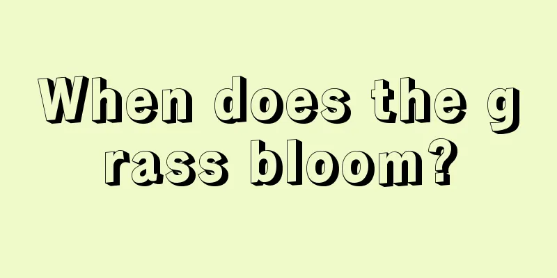 When does the grass bloom?