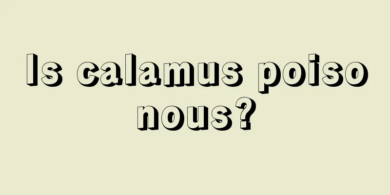 Is calamus poisonous?